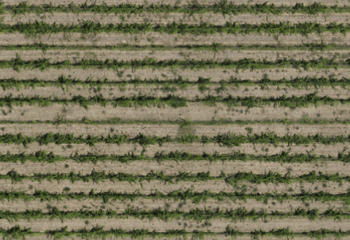 Images of Fields Taken with RTK