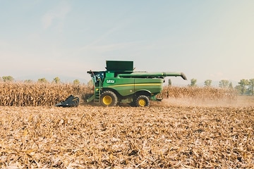 A green combine harvester moves through a dry cornfield, collecting crops and kicking up dust under a clear sky. Rows of harvested corn stalks are visible in the foreground.