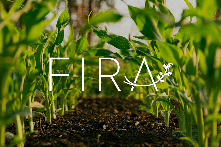 Rows of young green plants growing in soil, viewed from ground level. The word FIRA with a small leafy branch graphic overlays the center of the image.